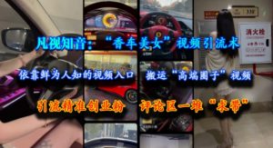 凡视知音:“香车美女”视频引流术,依靠鲜为人知的视频入口,搬运“高端圈子”视频,引流精准创业粉,评论区一堆“求带”-淘金日记