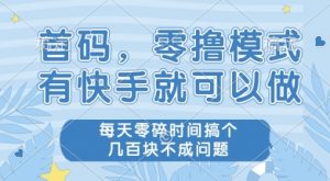 首码零撸项目，有快手就可以做，每天业务时间搞个几张不是问题【揭秘】-淘金日记