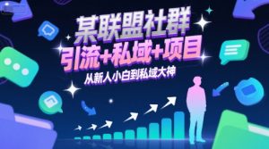 某联盟社群,引流+私域+项目,从新人小白到私域大神-淘金日记