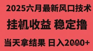 2025六月最新风口技术,无人挂G撸礼物,长期稳定 一个小时收益2k+,小白当天拿结果【揭秘】-淘金日记