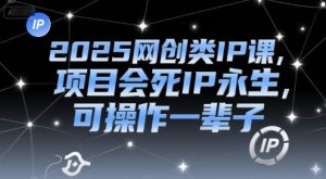 2025网创类IP课,项目会死IP永生,可操作一辈子-淘金日记