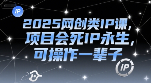 2025网创类IP课,项目会死IP永生,可操作一辈子-淘金日记