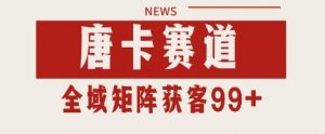 唐卡赛道私域引流获客 自热矩阵SOP日引流99+精准客资【揭秘】-淘金日记