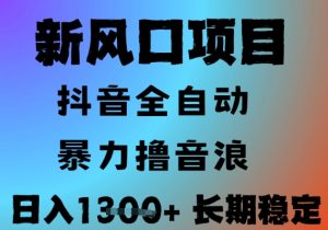 最新风口抖音无人直播撸音浪，全自动运行，小白可玩，长期稳定，日入1.3k，可批量收益翻倍【揭秘】-淘金日记