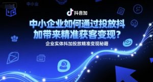 中小企业如何通过投放抖加带来精准获客变现?企业实体抖加投放精准变现秘籍-淘金日记