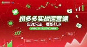 拼多多实战运营课，实时玩法，爆款打造，改销量，补大单，AB单，直播等（更新2025月）-淘金日记