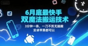 6月底最新快手双魔法搬运技术，3分钟一条，一刀不剪无脑搬，安卓苹果都可以-淘金日记