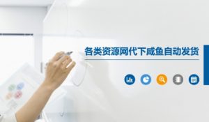 各类资源网代下咸鱼自动发货-淘金日记