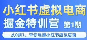 小红书虚拟电商掘金特训营第1期,从0到1,带你玩转小红书虚拟店铺-淘金日记