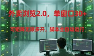 外卖浏览2.0,单窗口30+可矩阵无限多开,脚本全自动运行【揭秘】-淘金日记
