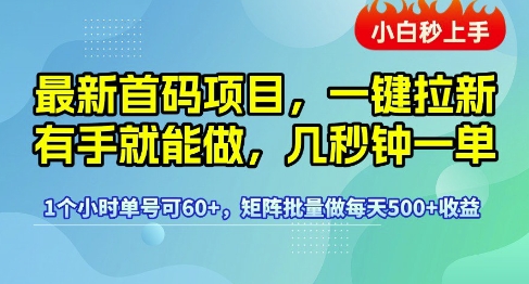 最新首码项目,一键拉新有手就能做,几秒钟一单,1个小时单号可60+,矩阵批量做每天5张【揭秘】-淘金日记