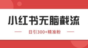 小红书截流同行客源，独家野路子获客玩法 日引200+暴力获客【揭秘】-淘金日记