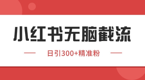 小红书截流同行客源,独家野路子获客玩法 日引200+暴力获客【揭秘】-淘金日记