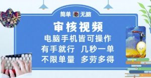 审核视频,电脑手机皆可操作,有手就行,几秒一单,不限单量,多劳多得【揭秘】-淘金日记