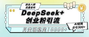 DeepSeek+创业粉精准引流，全新分享课4.0玩法，AI矩阵日引300+，多种变现方式，稳定月入1W-淘金日记