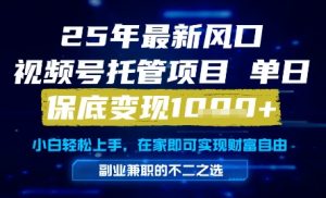 25年最新风口,视频号托管项目,单日保底变现1k+,手把手教学【揭秘】-淘金日记