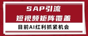 小红书某音sap赛道引流获客 自热矩阵日引200+【揭秘】-淘金日记