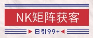 小红书某音NK赛道引流获客 自热矩阵日引200+【揭秘】-淘金日记