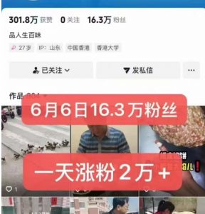 外面卖5000最新抖音搬运涨粉技术，新玩法，一分钟一条，一天涨粉2W，苹果安卓都可用-淘金日记