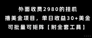 外面收费2980的挂G撸美金项目,单日收益30+美金,可批量可矩阵【揭秘】-淘金日记