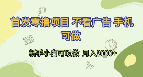 首发零撸项目 不看广告 手机可做 新手小白可以做 月入3k+【揭秘】-淘金日记