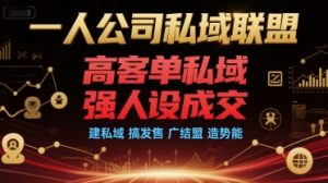 一人公司私域联盟,高客单私域,强人设成交,建私域 搞发售 广结盟 造势能-淘金日记