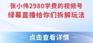 张小伟2980付费额视频号绿幕直播给你们拆解玩法-淘金日记