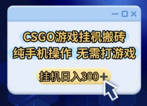 CSGO游戏挂G搬砖,小白纯手机即可操作,不用电脑打游戏,日入3张+,副业网创项目【揭秘】-淘金日记
