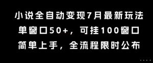 小说全自动变现7月玩法，单窗口50+，可挂100窗口，简单上手，全流程限时公布【揭秘】-淘金日记
