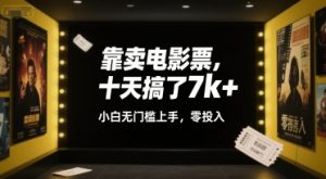 靠卖电影票,十天搞了7k+,小白无门槛上手,零投入【揭秘】-淘金日记