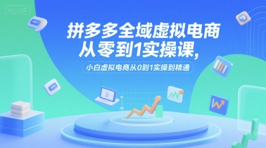 拼多多全域虚拟电商从零到1实操课，小白虚拟电商从0到1实操到精通-淘金日记