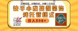 快手小店托管代运营,无需剪辑,无需选品,无需上传作品,全程无需操作,轻松月入5k+【揭秘】-淘金日记