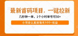 最新首码项目，操作最简单，收益高，一键拉新，1个小时单号可50+，小项目认真做每天5张+收益【揭秘】-淘金日记