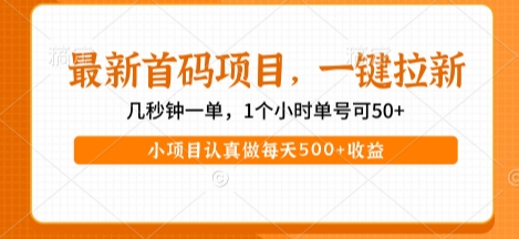 最新首码项目,操作最简单,收益高,一键拉新,1个小时单号可50+,小项目认真做每天5张+收益【揭秘】-淘金日记