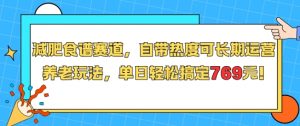 减肥食谱赛道,自带热度可长期运营,养老玩法,单日轻松搞定769-淘金日记