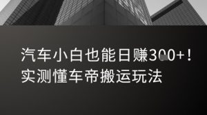 汽车小白也能日入3张!实测懂车帝搬运玩法-淘金日记