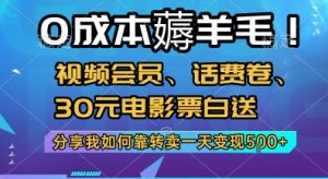 0成本薅羊毛!视频会员、话费卷、30元电影票白送，分享我如何靠转卖一天变现5张+【揭秘】-淘金日记