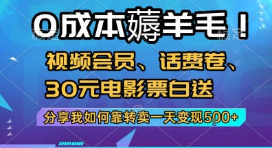 0成本薅羊毛!视频会员、话费卷、30元电影票白送,分享我如何靠转卖一天变现5张+【揭秘】-淘金日记