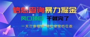 信息查询暴力掘金，一天三条视频，轻松变现四位数，风口项目干就完了【揭秘】-淘金日记