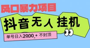 2025最新抖音暴力挂G撸金项目,单号产出2k+ ,小白当天也能拿结果,长期稳定做的项目【揭秘】-淘金日记