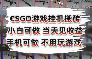 CSGO游戏挂G搬砖，小白纯手机即可操作，不用电脑打游戏，日入3张+，副业网创项目【揭秘】-淘金日记