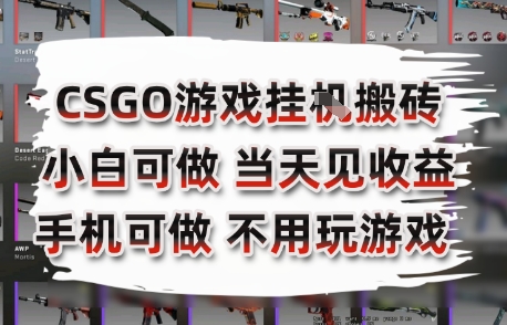 CSGO游戏挂G搬砖,小白纯手机即可操作,不用电脑打游戏,日入3张+,副业网创项目【揭秘】-淘金日记
