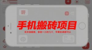 手机搬砖项目，有手就能做，亲测一小时几十，苹果安卓都可以-淘金日记