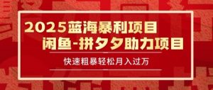 2025 最新闲鱼蓝海暴利项目 快速粗暴让你月入过1W不是梦,保姆级教程【揭秘】-淘金日记