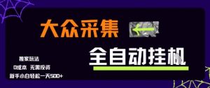 大众采集全自动玩法，新手小白轻松一天5张+，操作简单零成本【揭秘】-淘金日记