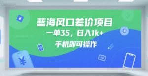 蓝海风口差价项目，一单35，日入1k+，手机即可操作【揭秘】-淘金日记