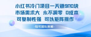 小红书冷门项目一天收益9张，市场需求大，0成本，可复制性强可以矩阵操作-淘金日记