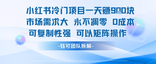 小红书冷门项目一天收益9张,市场需求大,0成本,可复制性强可以矩阵操作-淘金日记