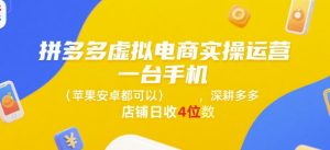拼多多虚拟电商实操运营，一台手机(苹果安卓都可以)，深耕多多店铺日收4位数-淘金日记