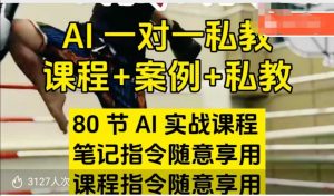 AI指令实战课，课程+案例，80节AI实战课程，笔记指令随意享用，课程指令随意享用（更新7月）-淘金日记